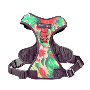 Harnais pour chien -Aloalo