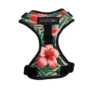 Harnais pour petit chien Aloalo