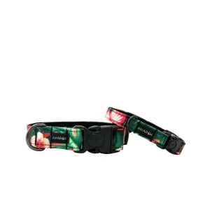 22.pngv1760123651 Collier pour chien Aloalo