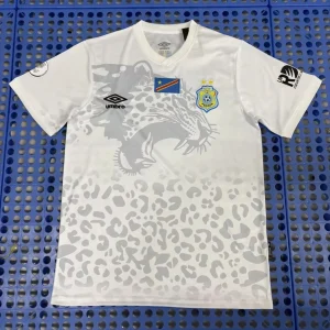 Maillot RDC Congo Concept 2025/2026
