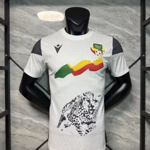 Maillot Bénin extérieur 2025/2026
