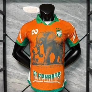 Maillot Cote d'Ivoire Concept Elephant Version Joueur 2025/2026