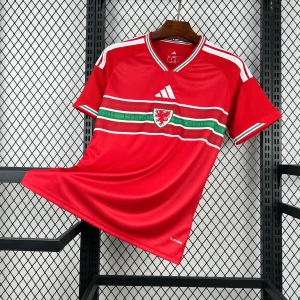 Maillot Pays de Galle Domicile Coupe du Monde 2026