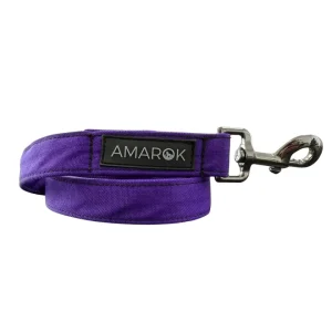 Laisse pour chien Aurora