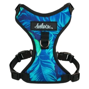 PC008-02.jpgv1760123636 Harnais pour petit chien Hawaien