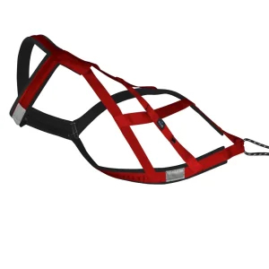 Harnais de traction pour chien