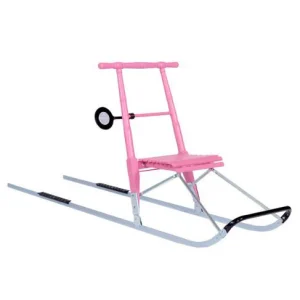 Petite trottinette des neiges T2