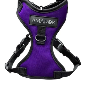 Harnais pour Petit Chien Aurora