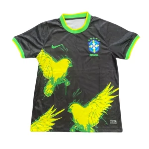 Brésil Oiseau Noir 2024/2025