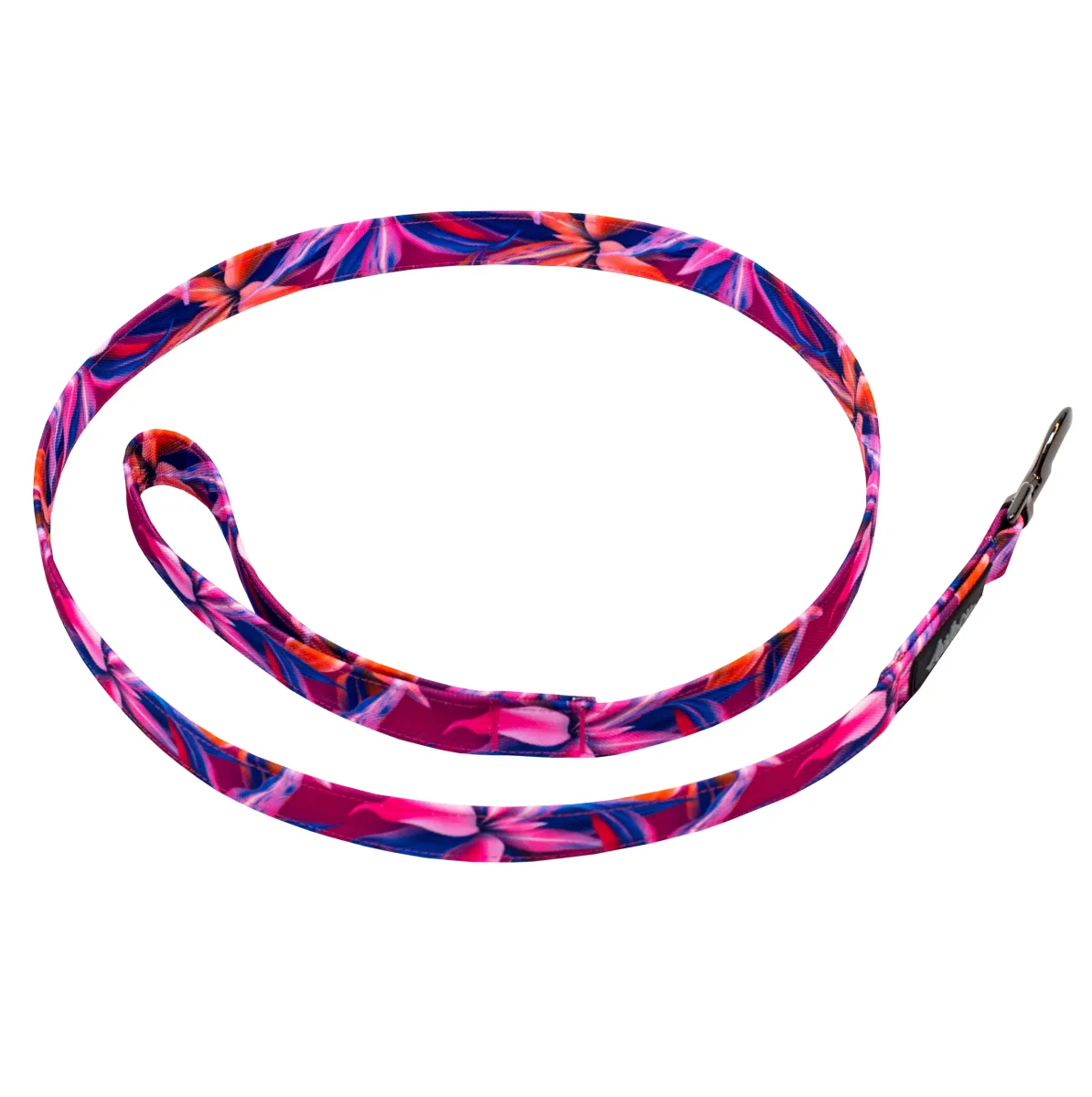 Laisse classique - Hannaé – Image 2