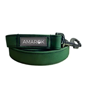 Laisse classique pour chien - Montagnard