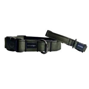 ca6f40_58be864571c34de09504066eb8b47a35_mv2.pngv1760123415 Collier pour chien - Ribera