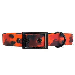 Collier imperméable pour chien Sahara