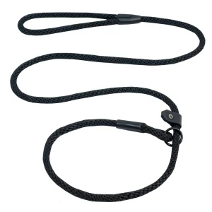 Laisse d'entrainement