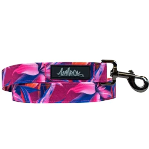 Laisse classique - Hannaé