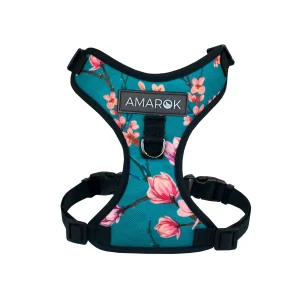 Harnais petit chien Osaka