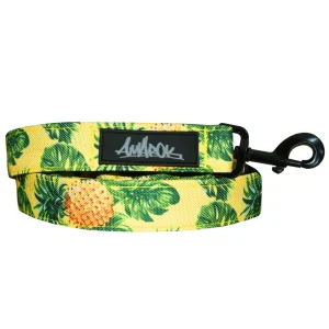 Laisse pour chien - Pina colada