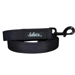 Laisse pour chien - Onyx