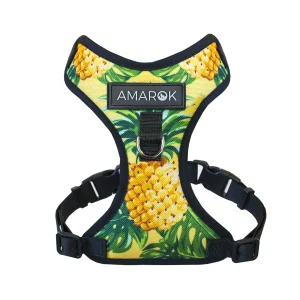 Harnais petit chien - Pina Colada