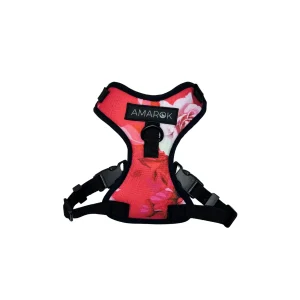 Harnais petit chien - Pivoine