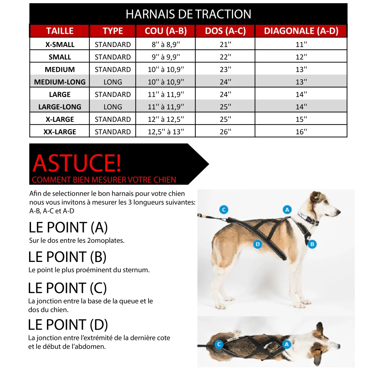 Harnais de traction pour chien Bûcheron – Image 4