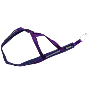 ca6f40_ff220fd2b69347ef8255834f89a84a57_mv2.jpgv1760122494 Harnais de traction pour chien Mandala