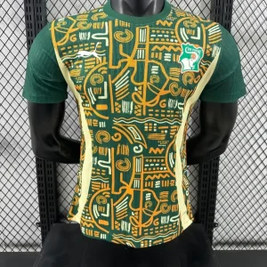 Cote d'Ivoire Vert Version Joueur 2024/2025