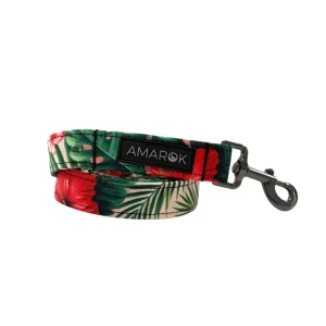 Laisse pour chien Aloalo