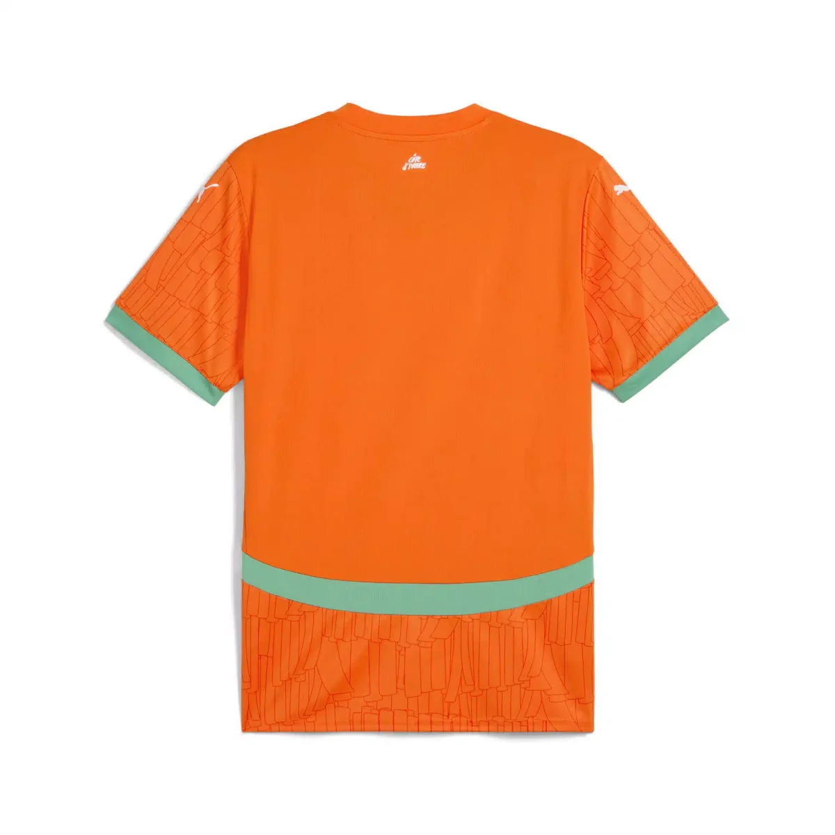 MAILLOT CÔTE D'IVOIRE DOMICILE 2025 – Image 2