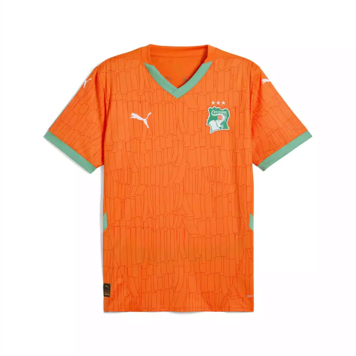 MAILLOT CÔTE D'IVOIRE DOMICILE 2025