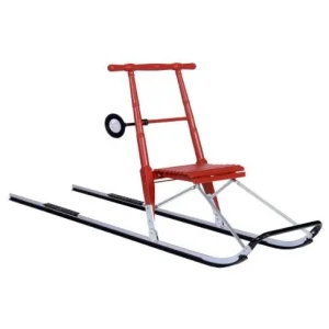 Moyenne trottinette des neiges T4